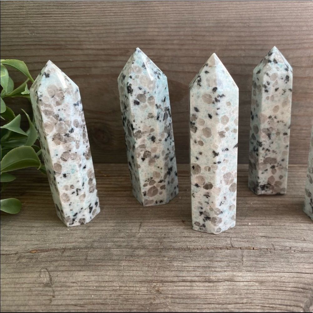 KIWI Jasper Crystal Points